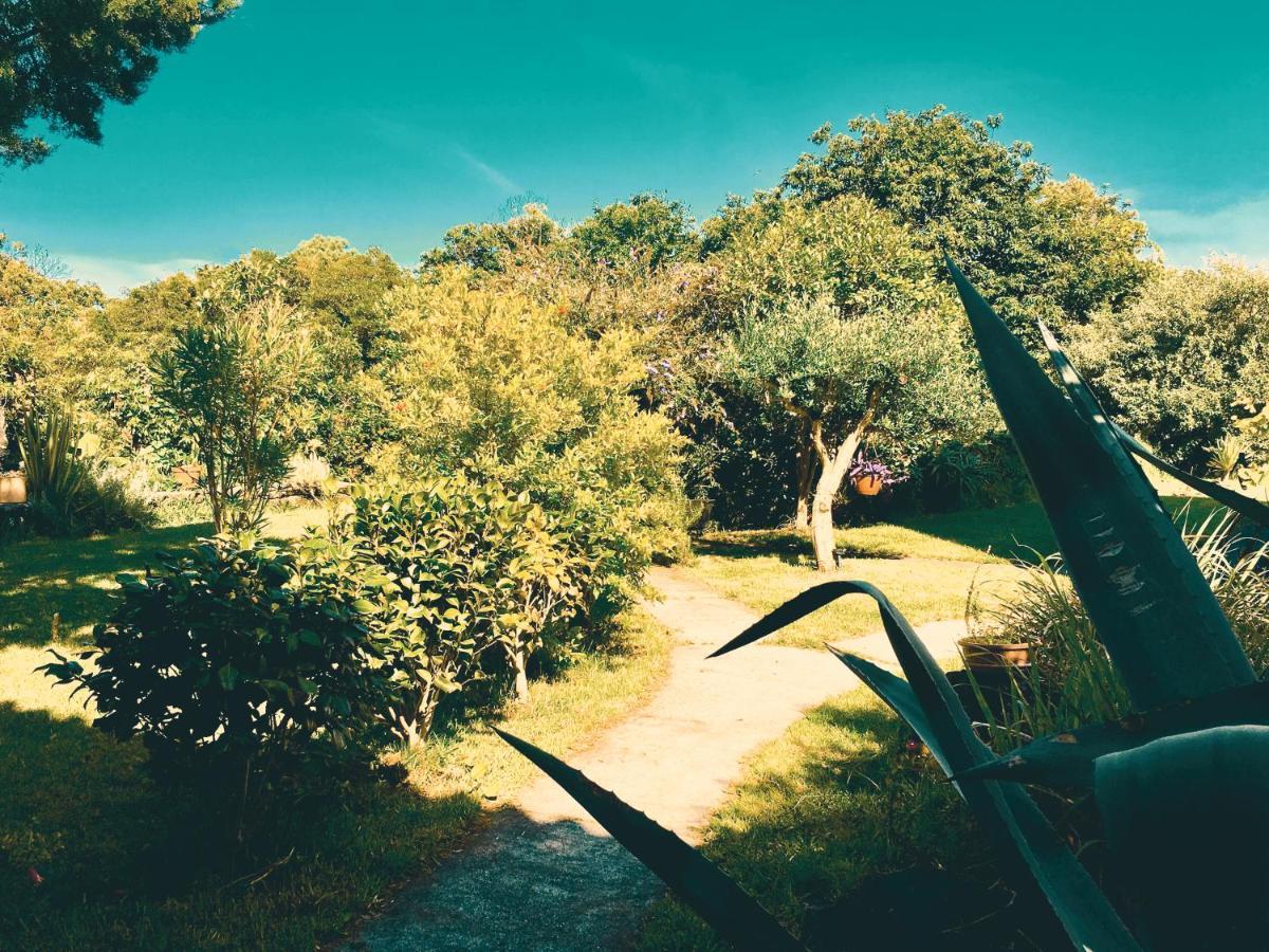 Quinta Das Almas São Roque do Pico Exteriér fotografie
