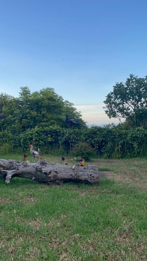 Quinta Das Almas São Roque do Pico Exteriér fotografie